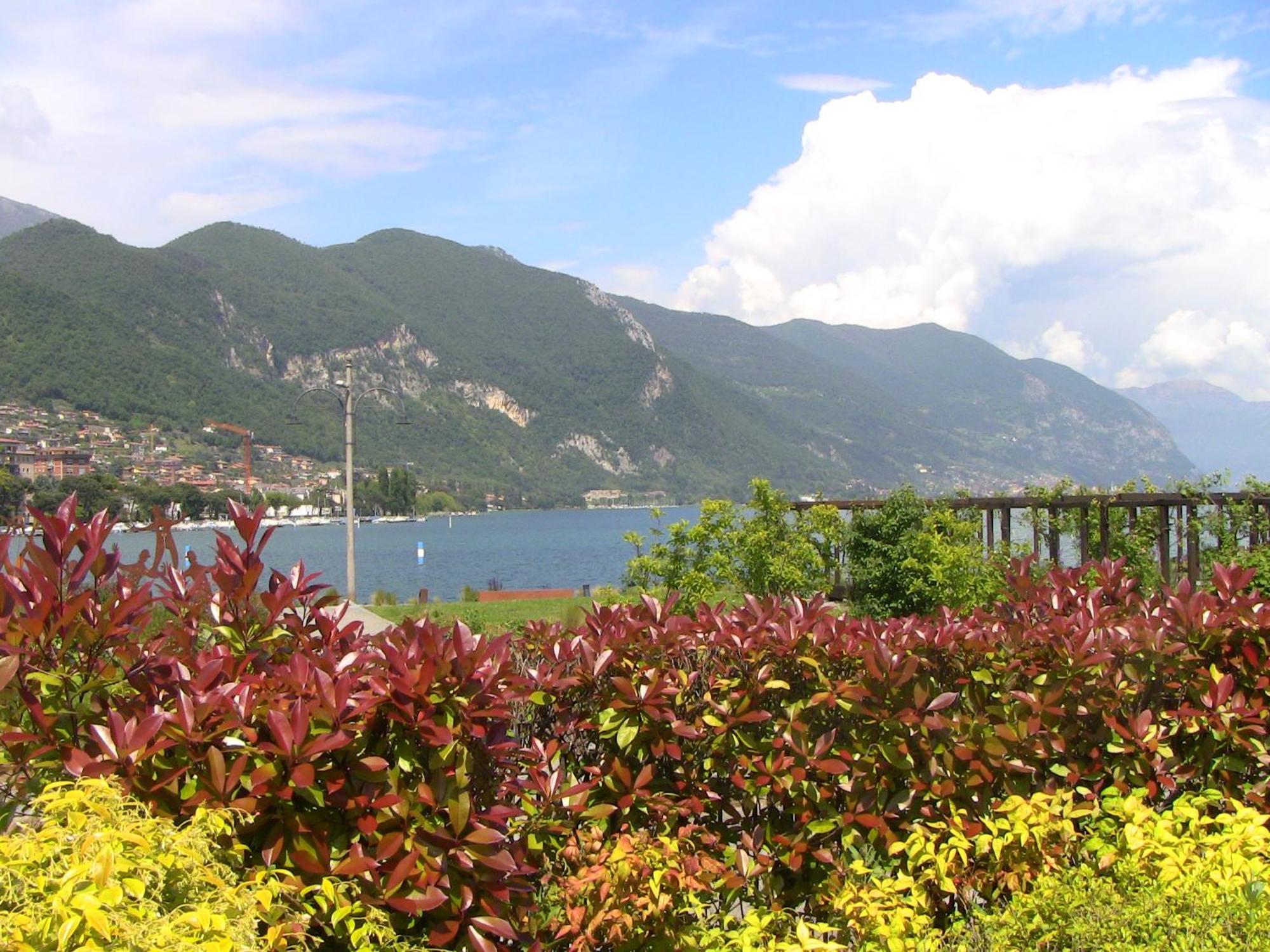 Appartamento Luisa Al Lago D'Iseo Paratico Εξωτερικό φωτογραφία